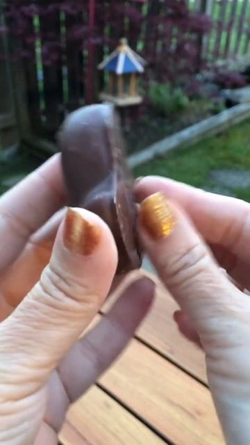 Chocolate Covered Peeps 🐣🍫 #shorts #asmr #candy #unboxing #sweets #oddlysatisfying