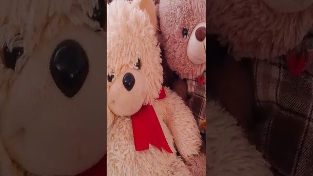 игрушки животные остались одни