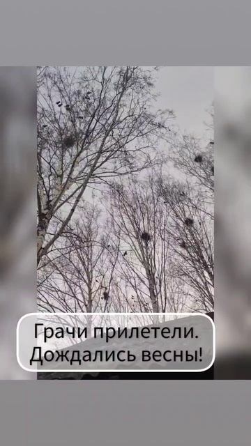И это время называется весна!