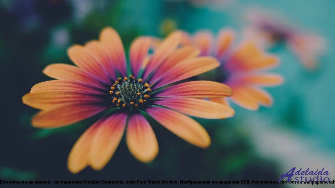 ✸ ♫ ❤ Мелодия, которая возвращает назад - Wonderfully Optimistic (Medium Version) -- BoDleasons -- H