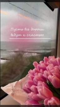 Скачивай БЕСПЛАТНО в моем ТЕЛЕГРАМ канале видео и стикеры для оформления твоих сторис!