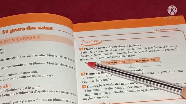 Grammaire 5 ème et 6 ème année : Le genre des noms.