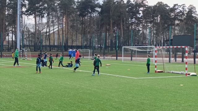PROFIBALL (2015)& Перспектива Реутов 2:3