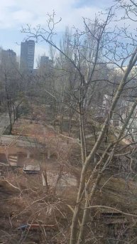 ПОГОДА НА СЕГОДНЯ