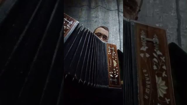 Гармонь Шибаева