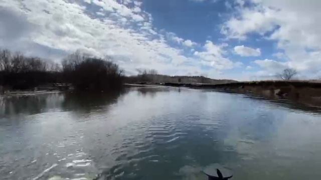 1000034363.mp4