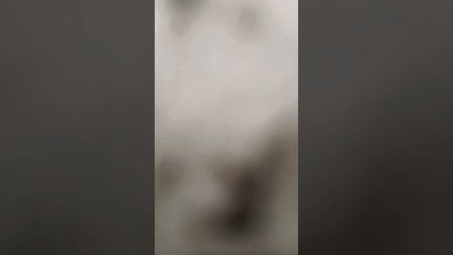 дотверкаемся до сасдий