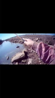 Ловля на поплавок, маховое удилище🎣