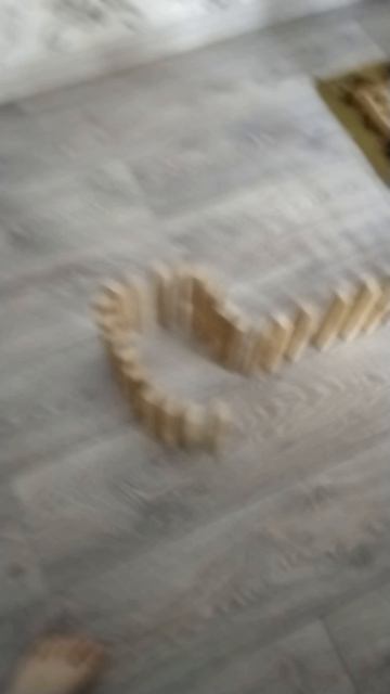 scene_output.mp4