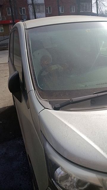 сбежал опасный гусь и угнал машину