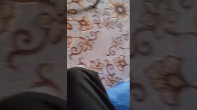 Привет