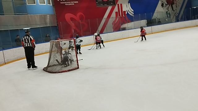 центр и акулы 17 хороший гол