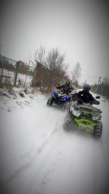 эдит#12