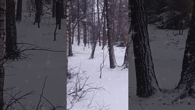 Снова зима?! В апреле?