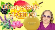 Max Philip Yellow. Обнаружено манго!