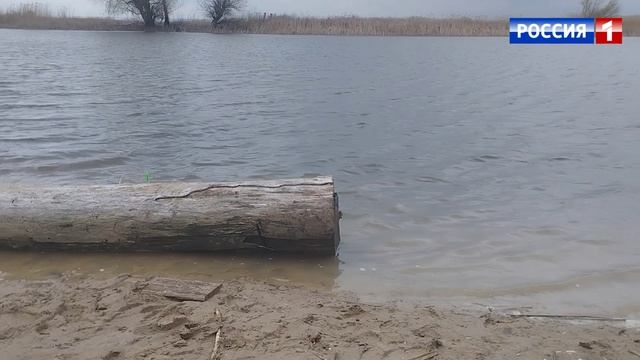 село *колпачки* рыбалка три кота мужики