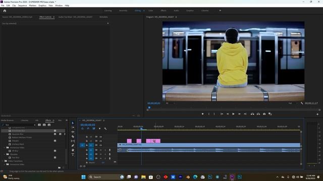 Premiere pro Bass Shake Effects  Tutorial. SUPER EASY