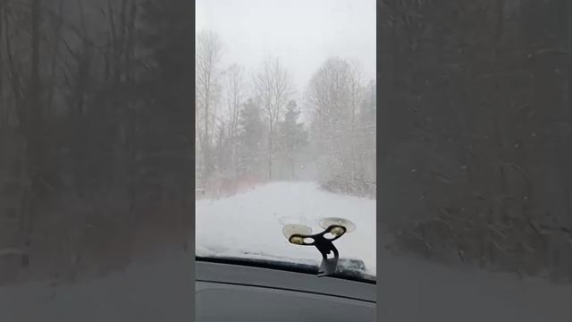 на даче