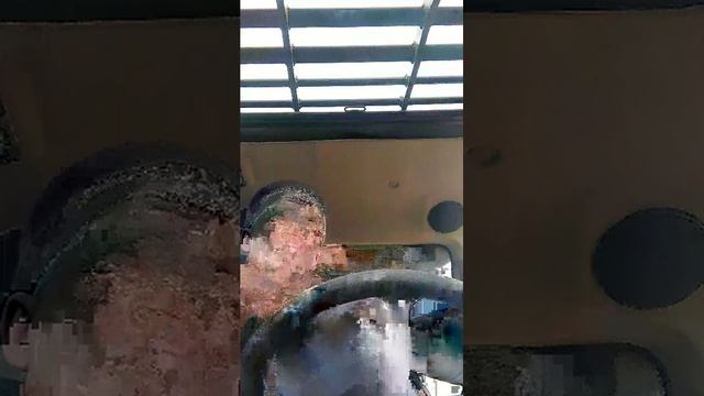 Сеим зерновые.