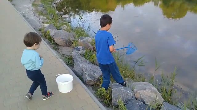 Рибалки. Жабка у відрі.