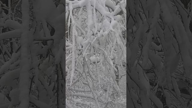 К НАМ ПРИШЛА ВЕСНА