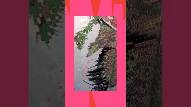 1000085687.mp4