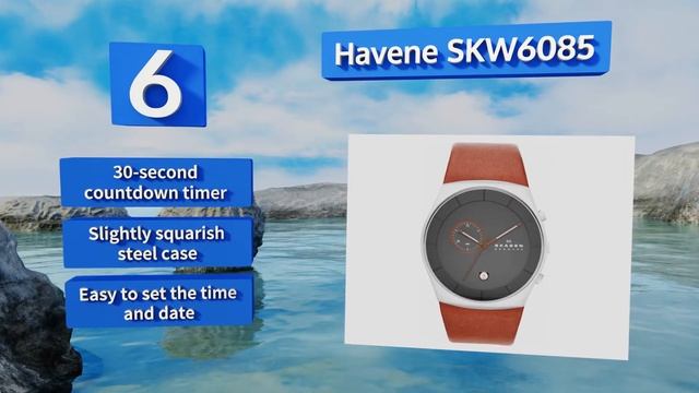 10 Best Skagen Watches For Men 2018