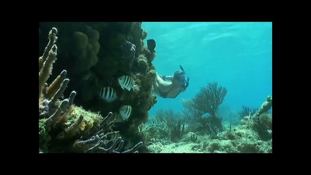 Camana Bay - Chapter 1 - The Cayman Islands and Camana Bay