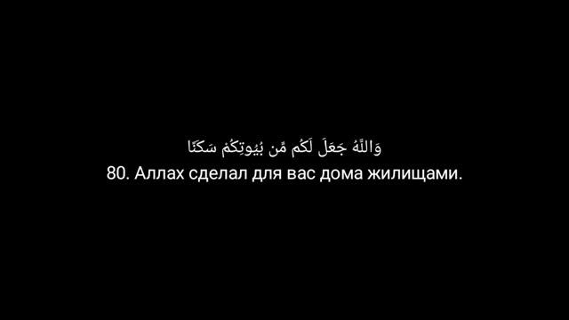 Сура Ан-Нахль (Пчёлы) 77-81 аяты. Мухаммад аль люхайдан 1424г
