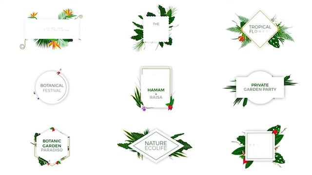 Floral Design Pack | Premiere pro MOGRT File | Free Download | Easy to Use | Premiere Pro Template