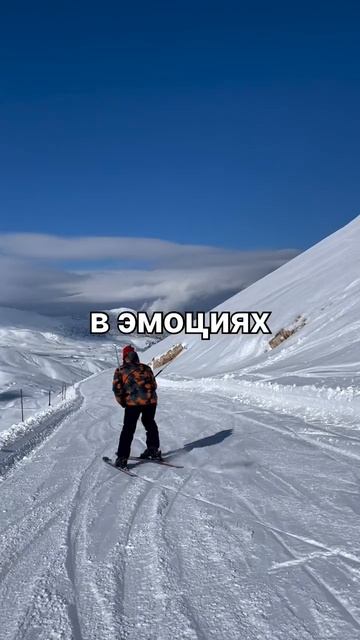 В чём лучше всего хранить свои деньги?