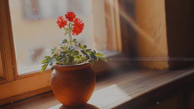 Хохотушка Танька. Стихи Григорьевой Аллы.
