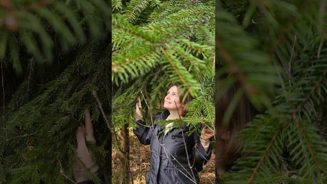 Прогулка по лесу / Природа Беларуси / Птичий концерт