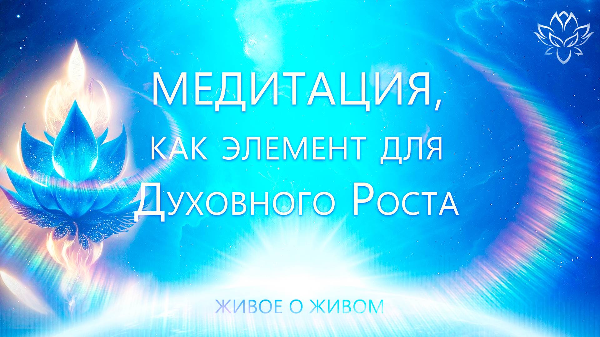 Медитация, как элемент Духовного Роста