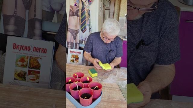 Как мы  получаем 100 % гарантию всходов...