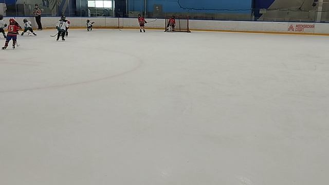 центр и акулы 17 год