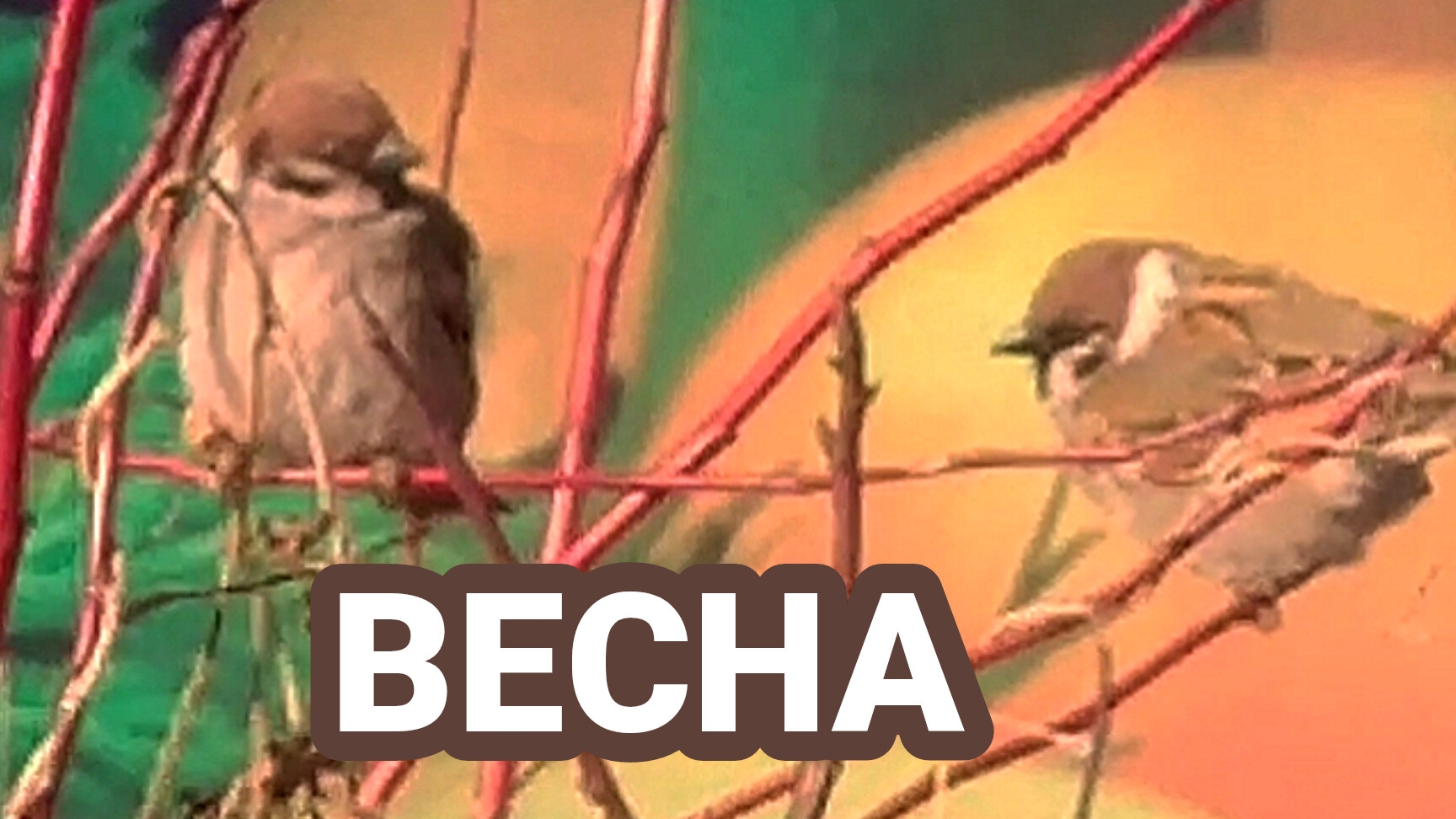 Смекалистый воробей