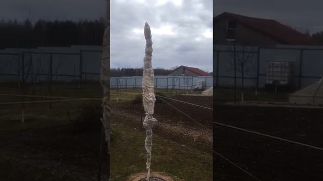 СПАСАЕМ АБРИКОСЫ от наступающих МОРОЗОВ