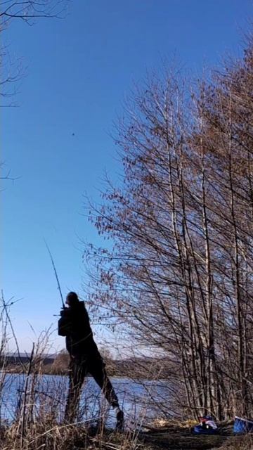 Рыбалка на фидер #рыбалка #отдых #природа #россия #мотивация #вдохновение #fishing #fish #shorts