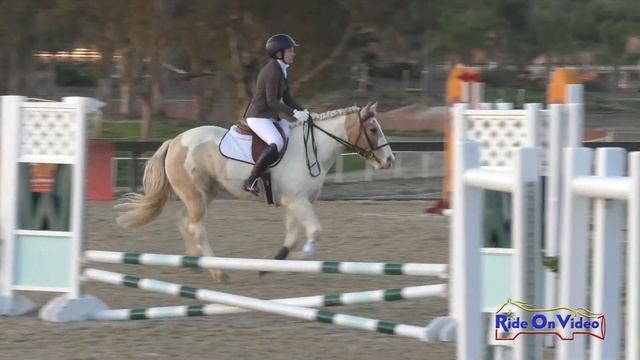 126S Julie Kominski on A Mighty Good Man Starter Show Jumping Galway Downs Feb. 2023