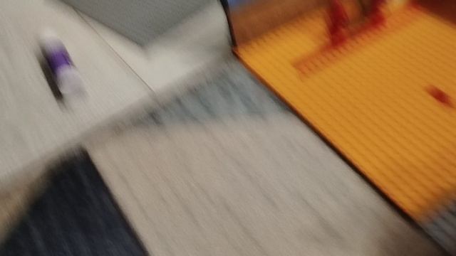 1000005172.mp4