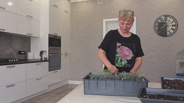 99. Важная обработка сада. Повседневные дела.
