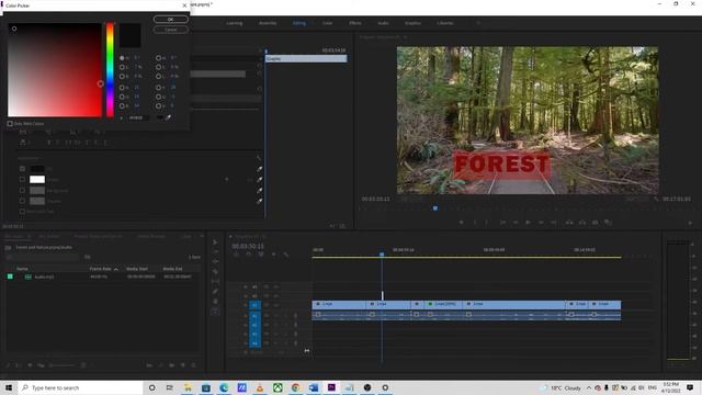 Add Text Premiere Pro | Text Effects Premiere Pro | Adobe Premiere Pro Basics Tutorial