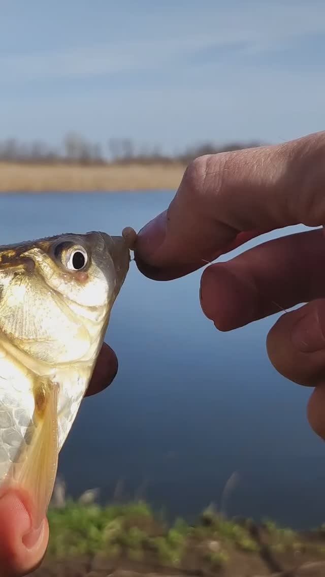 Открыл весенний сезон рыбалки 2025 на фидер! 🔥🎣