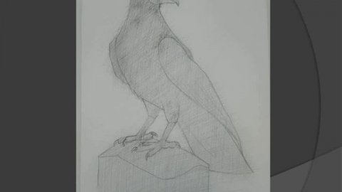 Рисуем птицу карандашом