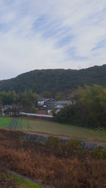 Расслабляющая ранняя утренняя прогулка по храму в сельской Японии