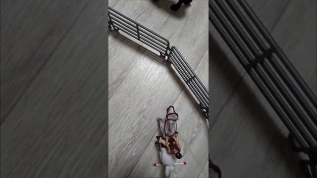 3 серия.Я - такой!