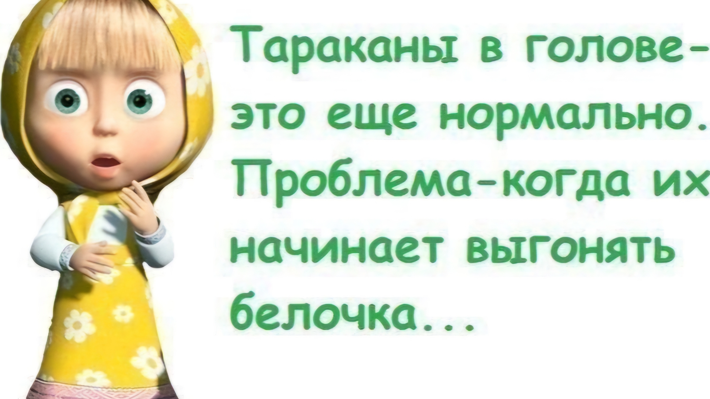 🌸🤭Для Милых Хейтеров🤭🌸