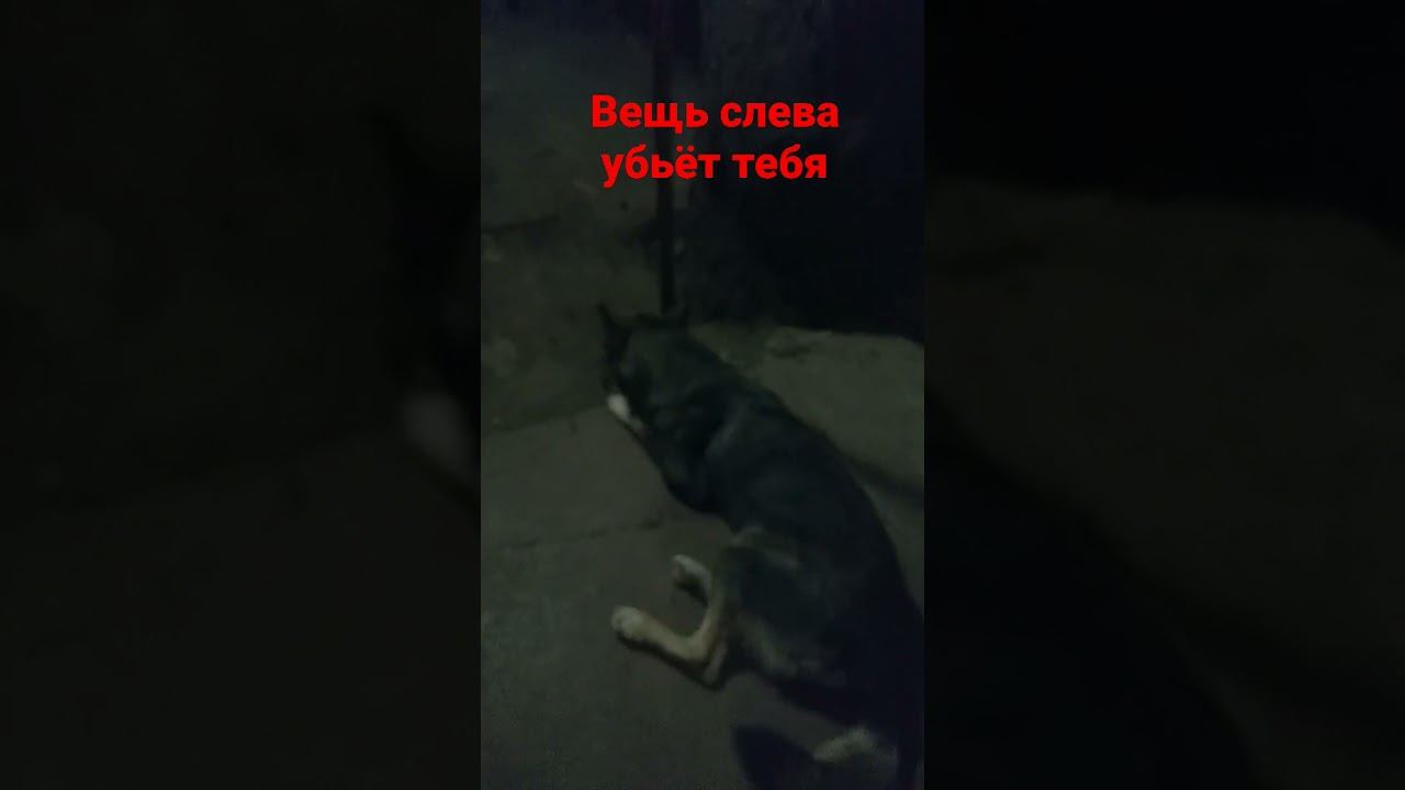 9 июня 2023 г.