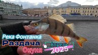 РЕКА ФОНТАНКА РАЗДАЧА ОКУНЕЙ КЛЮЮТ ТРОФЕЙНЫЕ МОНТАЖ СНАСТИ ДРОПШОТ ПРИМАНКА СИЛИКОН РЕЗИНА АПРЕЛЬ525